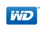 Western Digital Corp 21423660